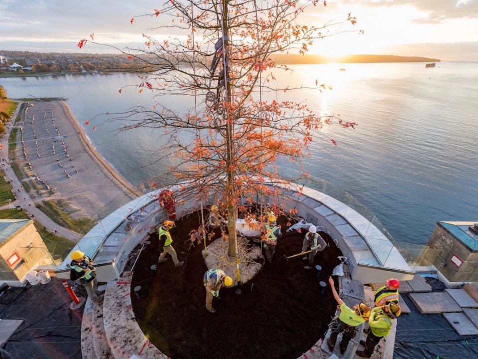 Fossil Landscape Construction Vancouver