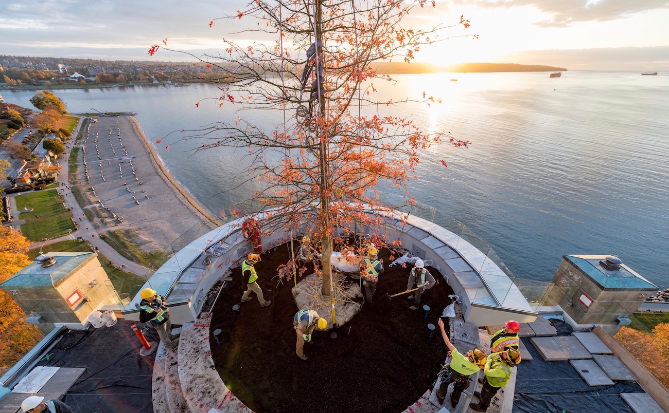 Fossil Landscape Construction Vancouver