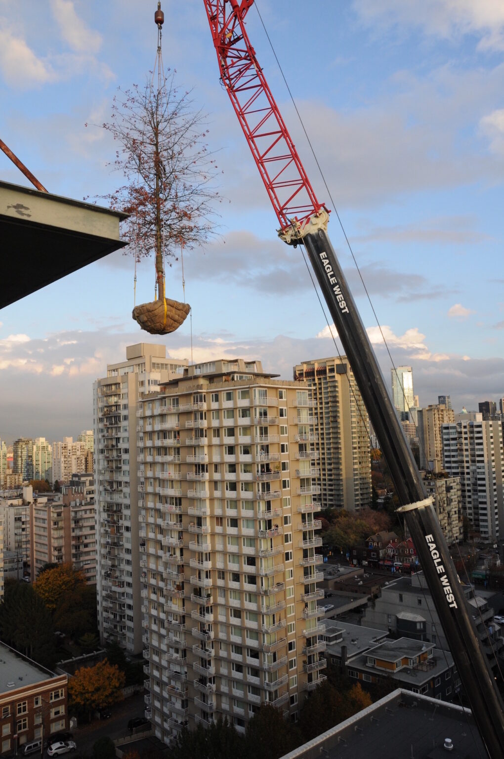 High end landscape construction by Fossil Landscape Construction in Vancouver BC featuring refined outdoor spaces, detailed craftsmanship and timeless design.