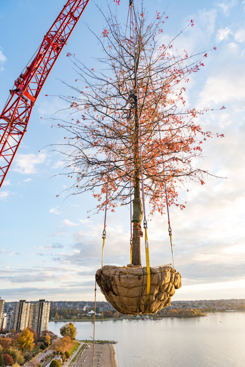 High end landscape construction by Fossil Landscape Construction in Vancouver BC featuring refined outdoor spaces, detailed craftsmanship and timeless design.