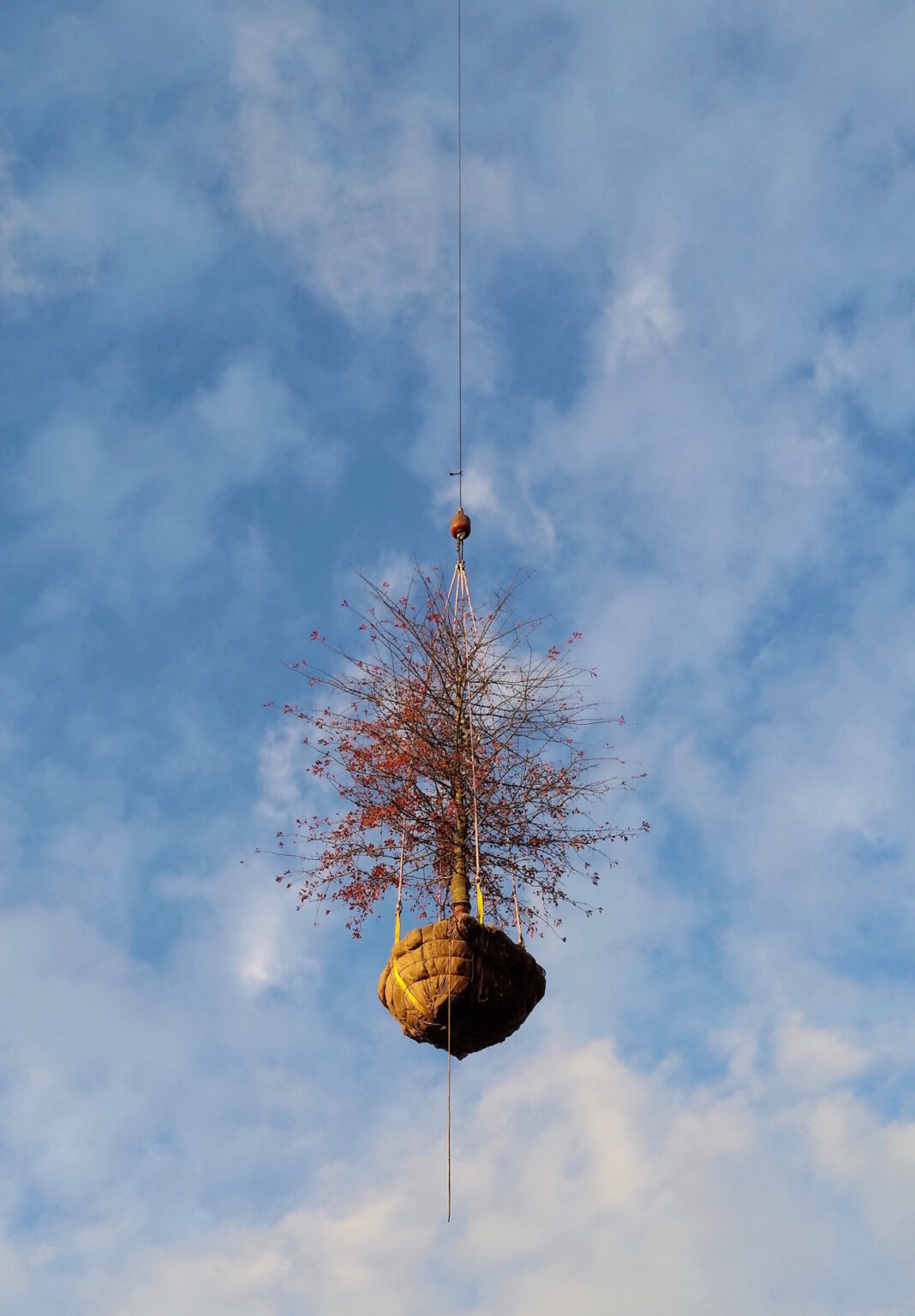 High end landscape construction by Fossil Landscape Construction in Vancouver BC featuring refined outdoor spaces, detailed craftsmanship and timeless design.