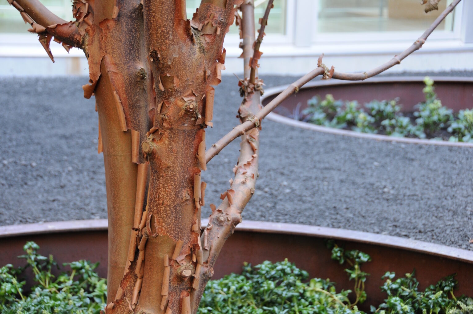 High end landscape construction by Fossil Landscape Construction in Vancouver BC featuring refined outdoor spaces, detailed craftsmanship and timeless design.