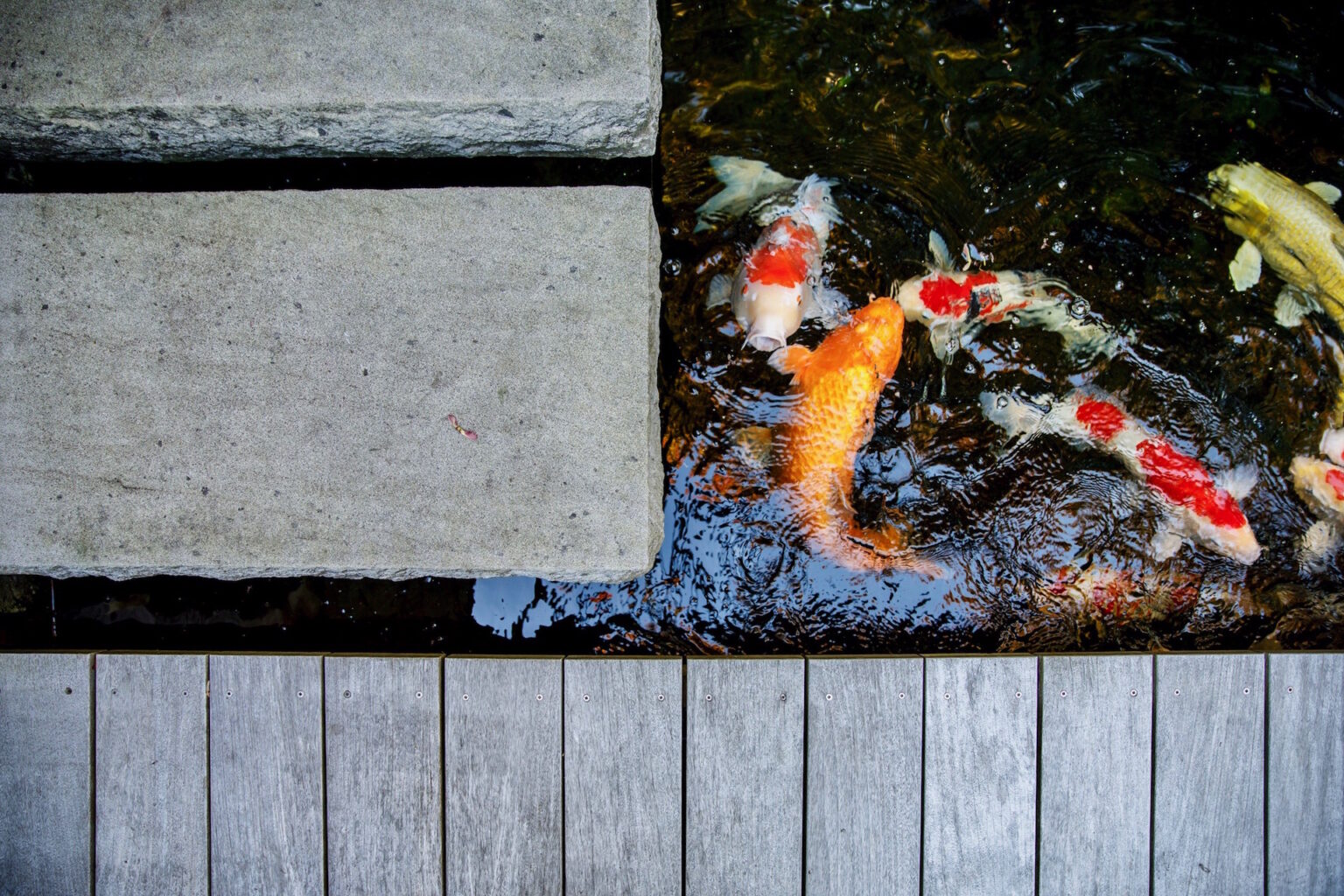 High end landscape construction by Fossil Landscape Construction in Vancouver BC featuring refined outdoor spaces, detailed craftsmanship and timeless design.