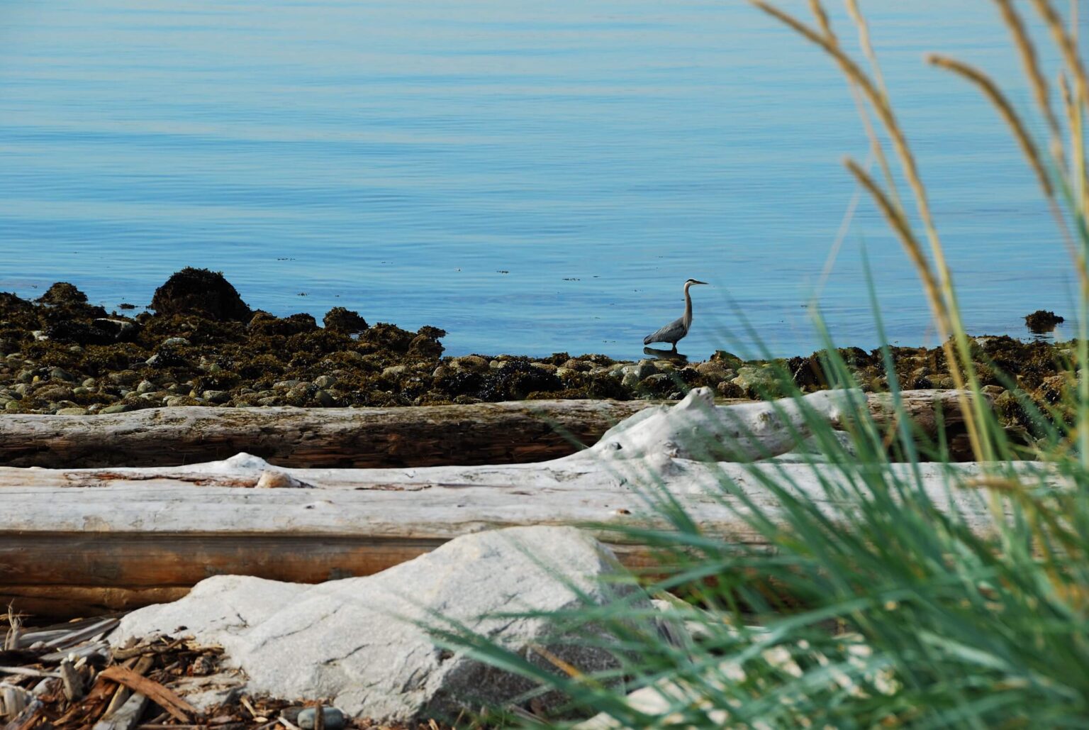 High end landscape construction by Fossil Landscape Construction in Vancouver BC featuring refined outdoor spaces, detailed craftsmanship and timeless design.