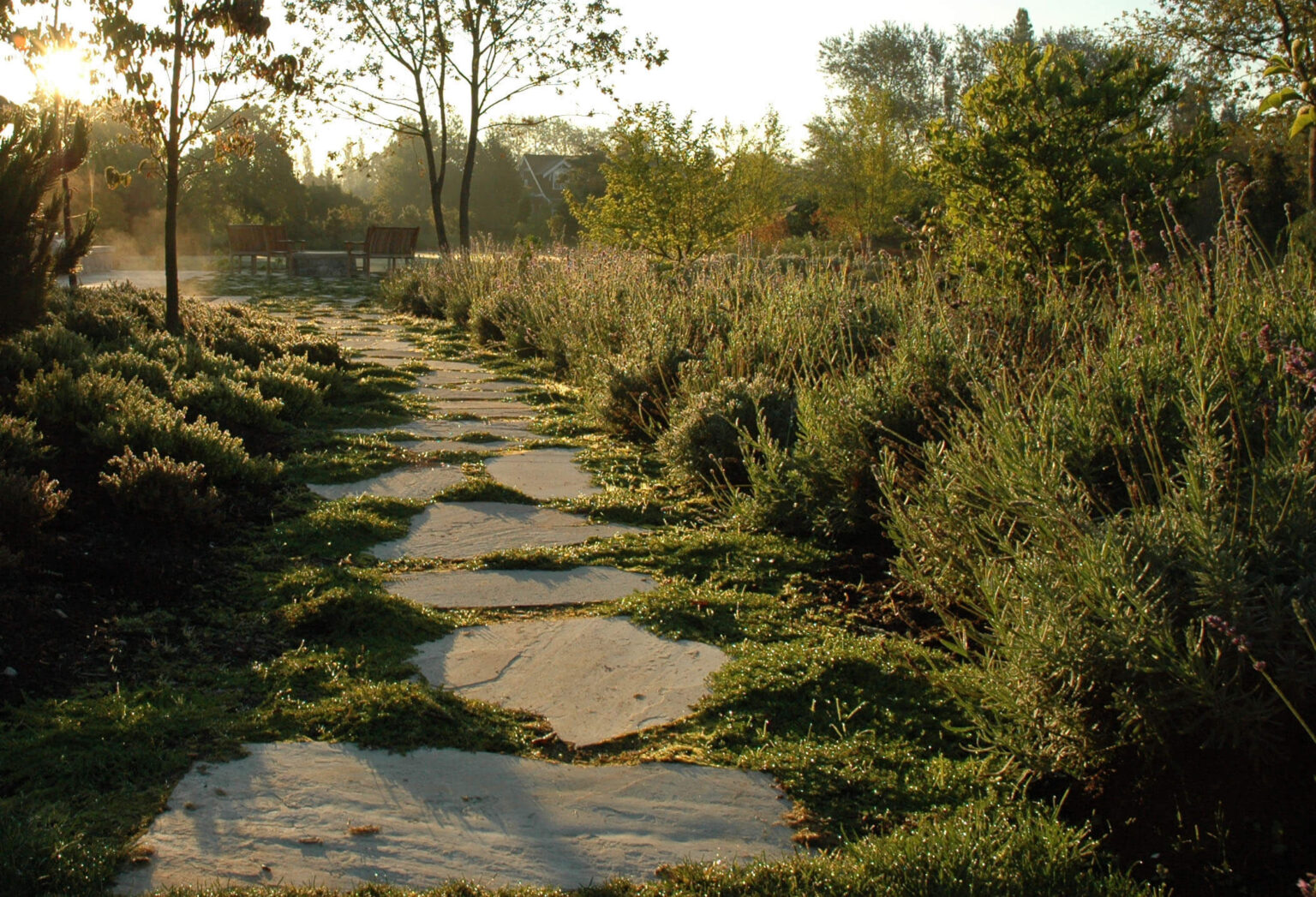 High end landscape construction by Fossil Landscape Construction in Vancouver BC featuring refined outdoor spaces, detailed craftsmanship and timeless design.