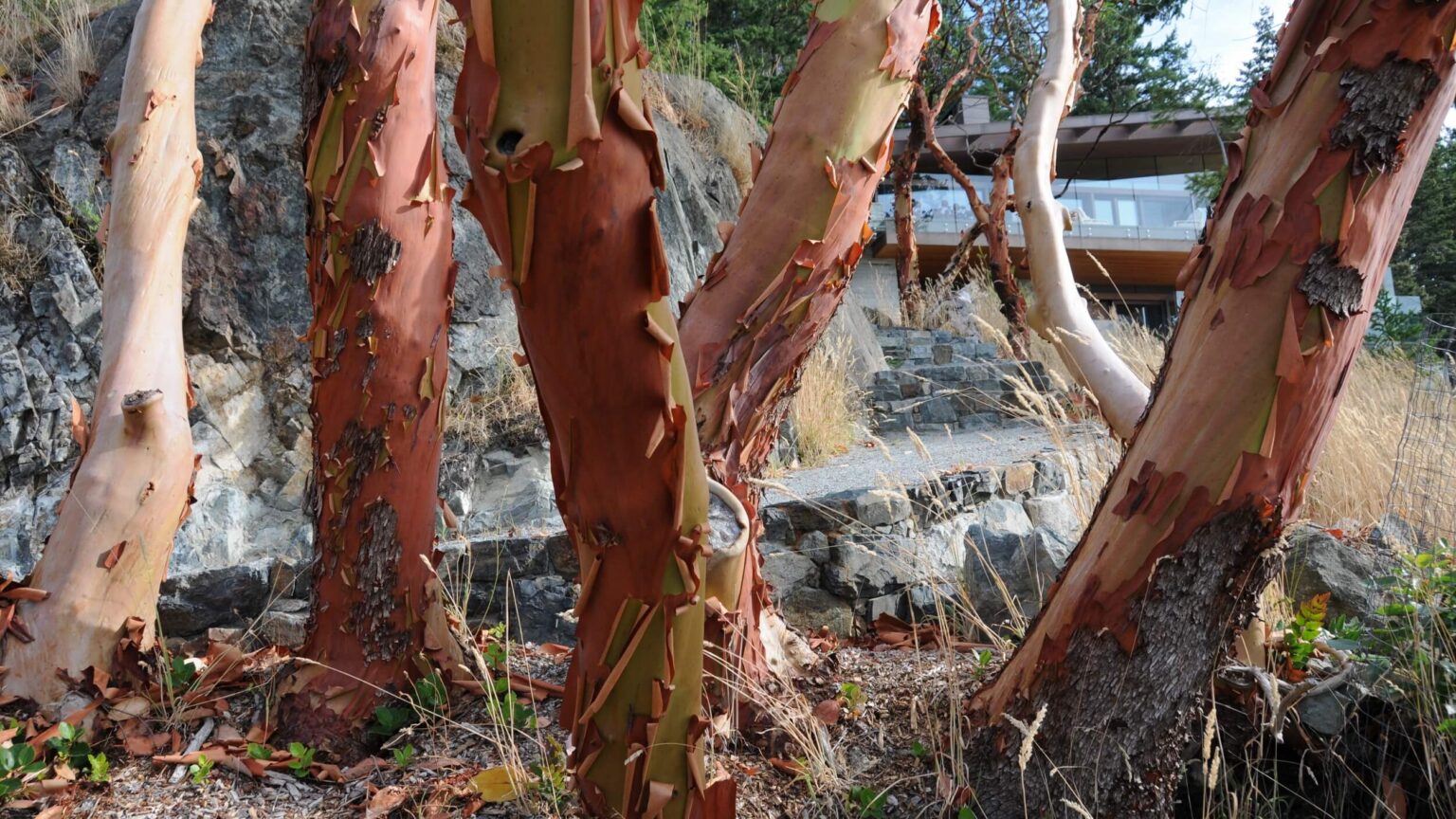 High end landscape construction by Fossil Landscape Construction in Vancouver BC featuring refined outdoor spaces, detailed craftsmanship and timeless design.